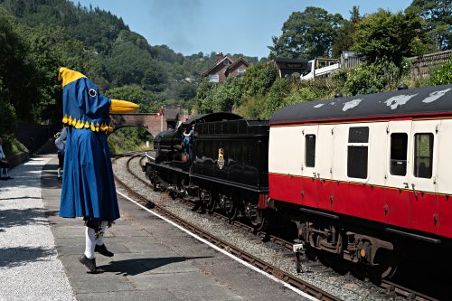Mersey Bird waiting for a train at Llangollen